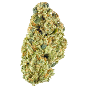 Mid - Sour Sour S/S Hybrid